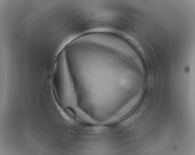 X0000090891425200708171656