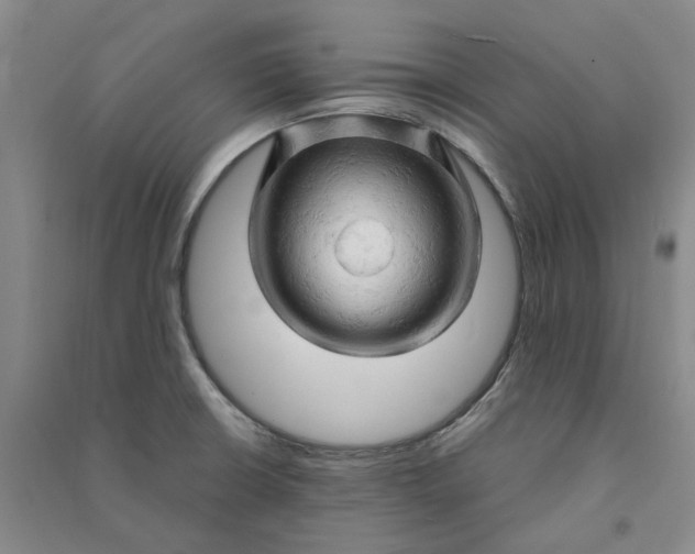 X0000090891426200708171656