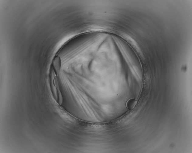 X0000090891427200708171656