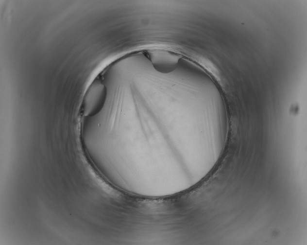 X0000090891428200708171656