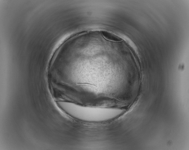 X0000090891429200708171656