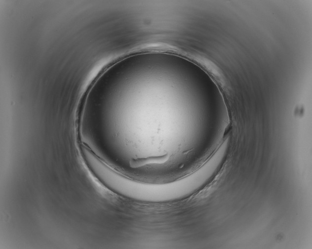 X0000090891430200708171656