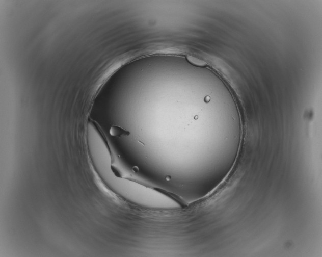 X0000090891433200708171656