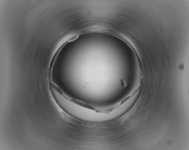 X0000090891434200708171656