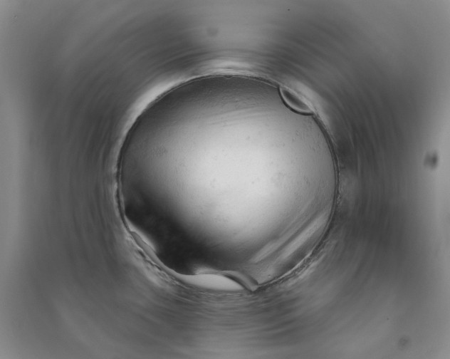 X0000090891435200708171656