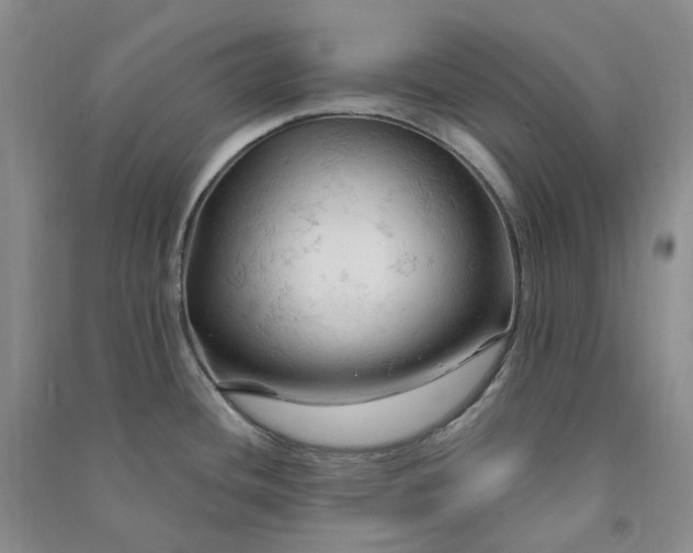 X0000090891436200708171656