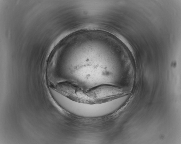 X0000090891437200708171656