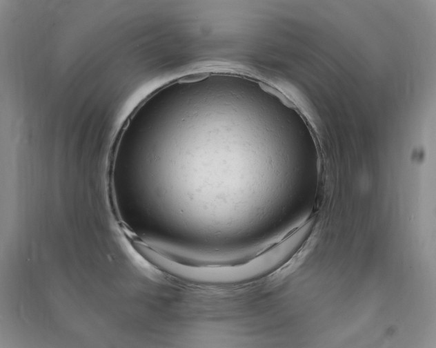 X0000090891438200708171656