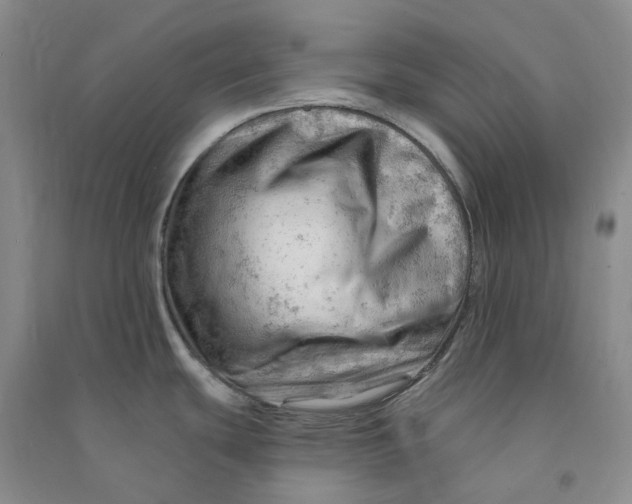 X0000090891439200708171656