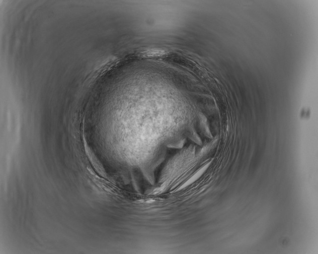 X0000090891441200708171656