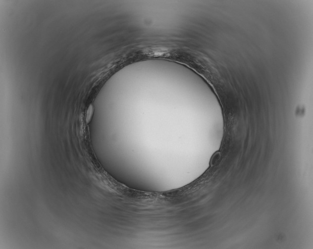 X0000090891442200708171656