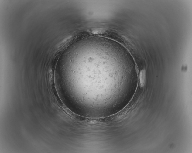 X0000090891443200708171656