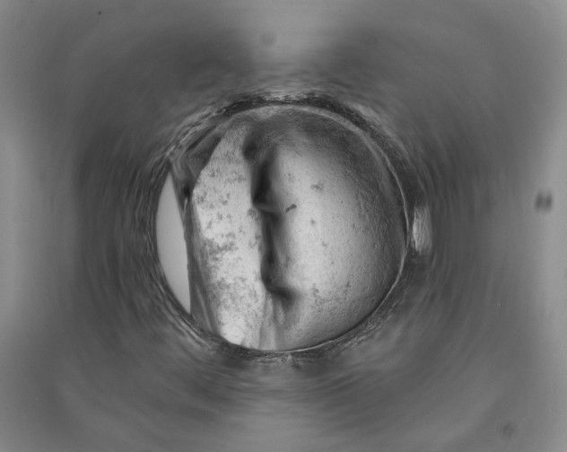 X0000090891444200708171656