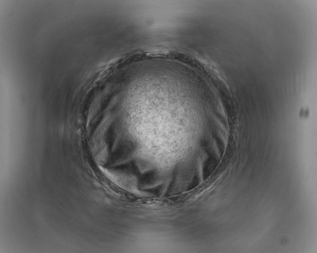 X0000090891445200708171656