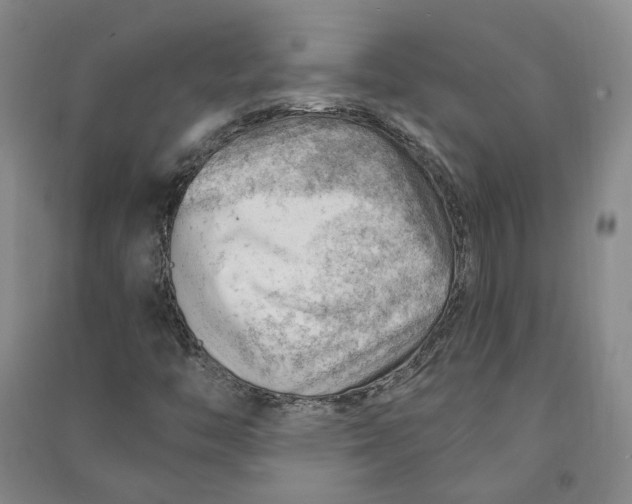 X0000090891446200708171656