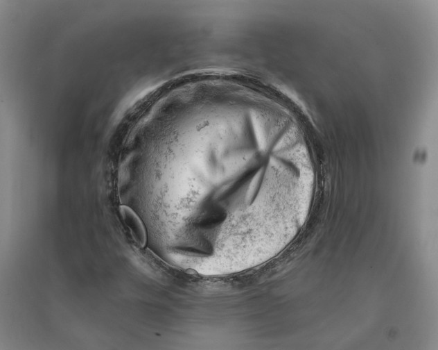 X0000090891448200708171656