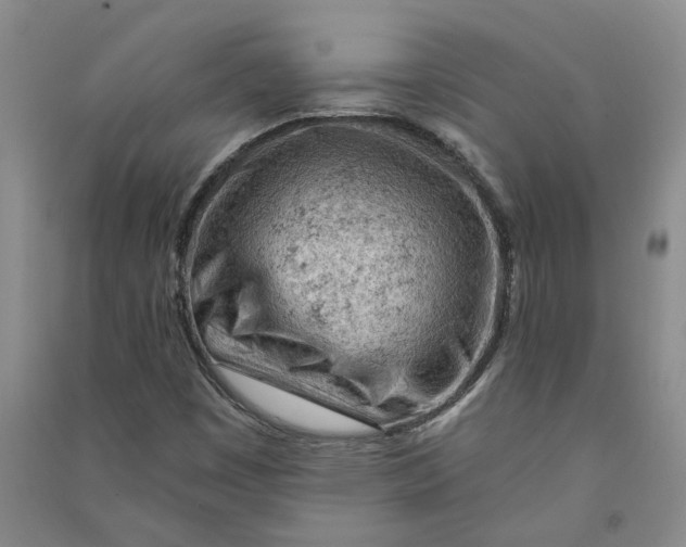 X0000090891449200708171656