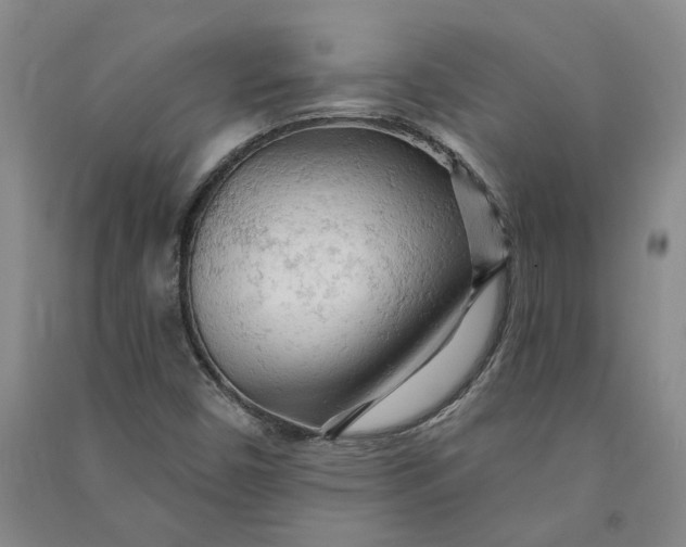 X0000090891450200708171656