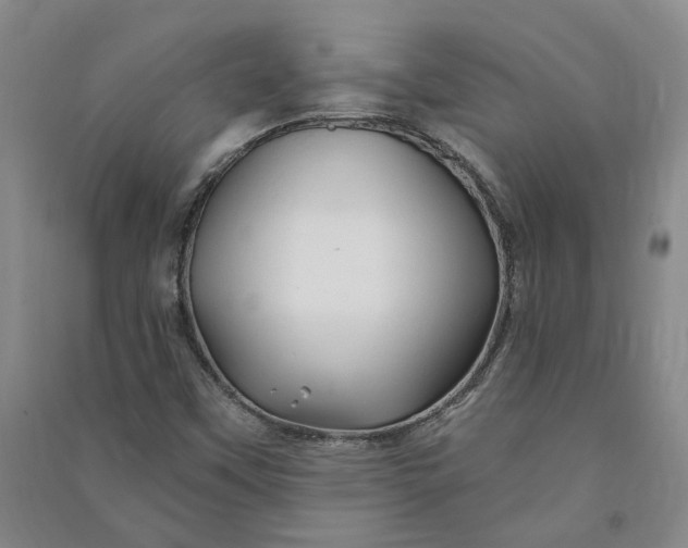 X0000090891451200708171656