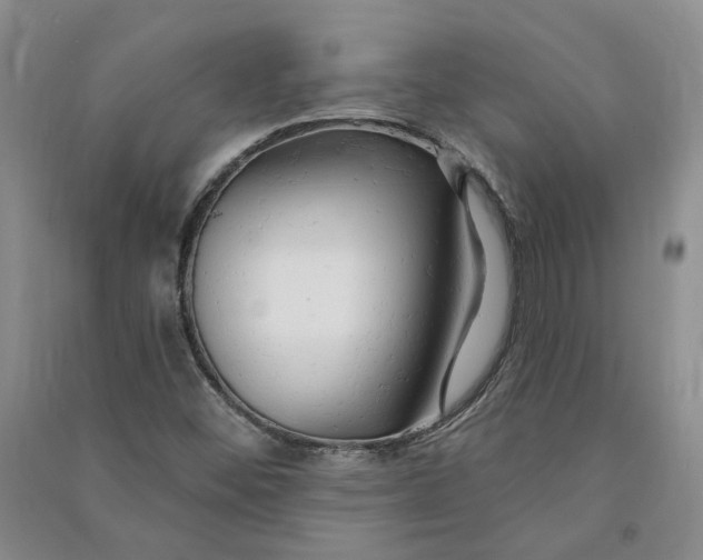 X0000090891452200708171656