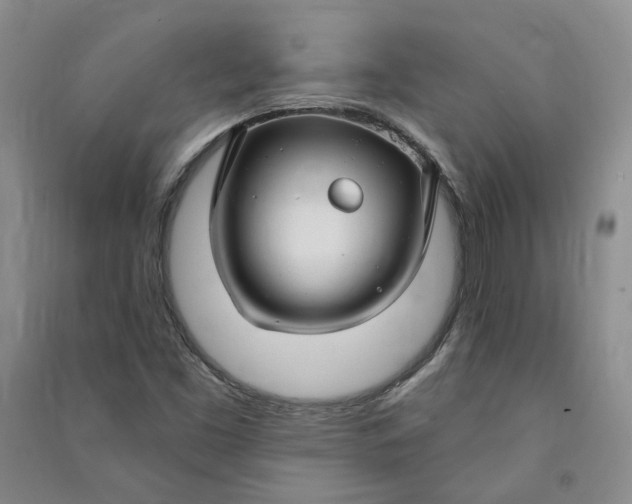 X0000090891453200708171656