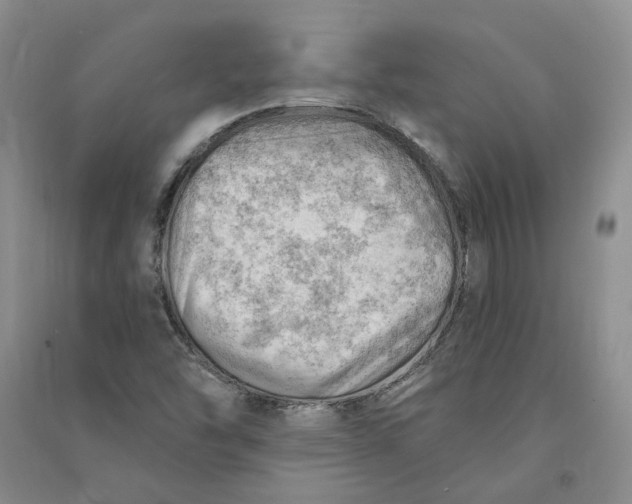 X0000090891454200708171656