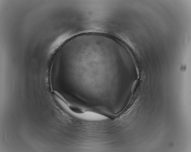 X0000090891455200708171656