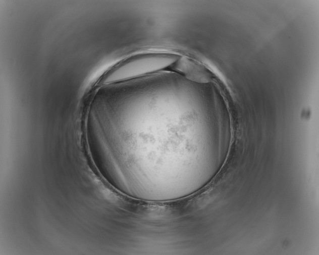 X0000090891456200708171656