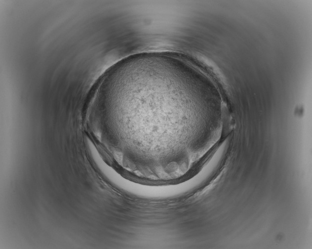 X0000090891457200708171656