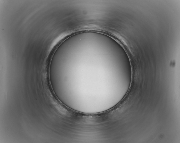 X0000090891458200708171656