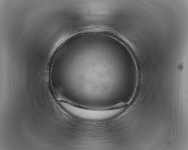 X0000090891459200708171656