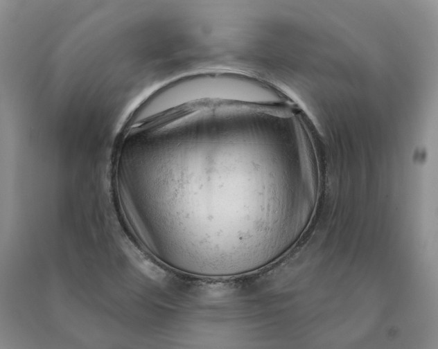 X0000090891460200708171655