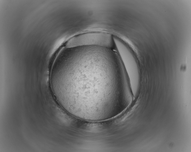 X0000090891461200708171655