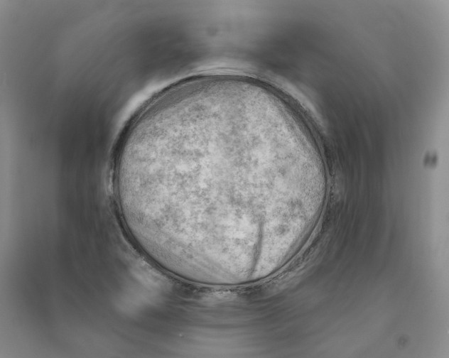 X0000090891462200708171655