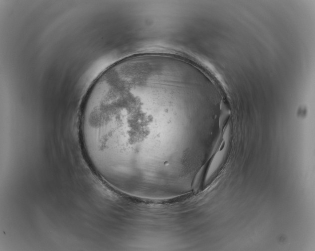 X0000090891463200708171655