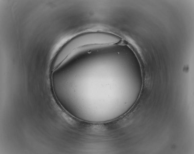 X0000090891464200708171655