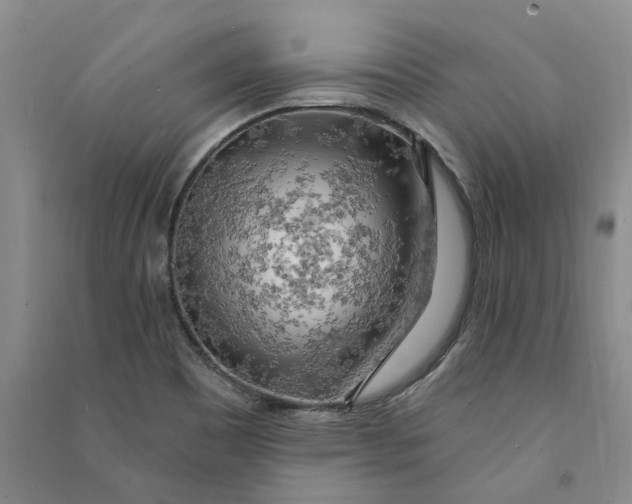 X0000090891465200708171655