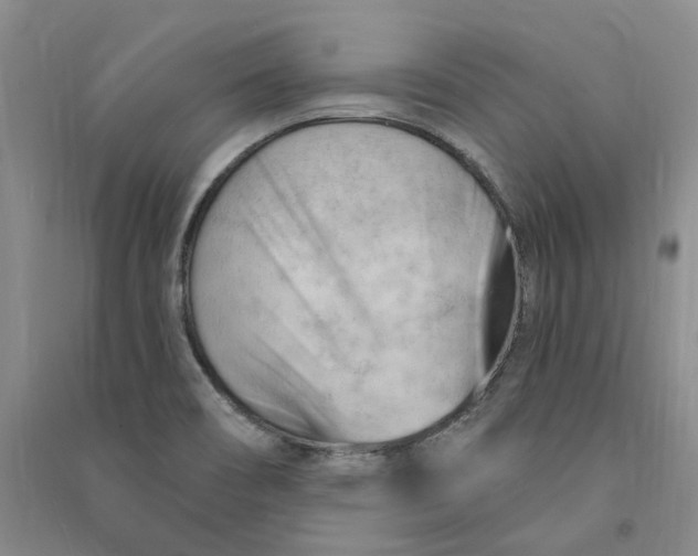 X0000090891466200708171655