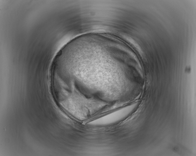 X0000090891467200708171655