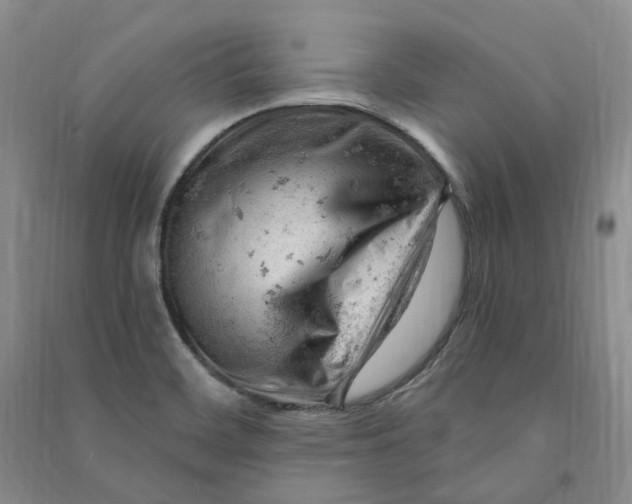 X0000090891468200708171655