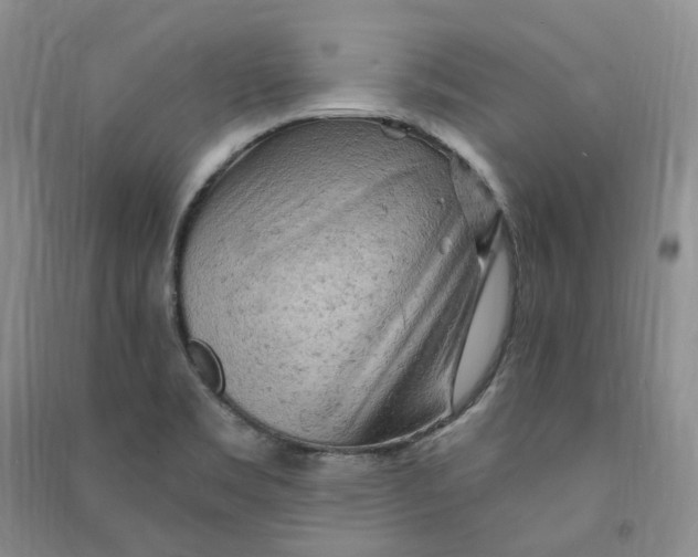 X0000090891469200708171655