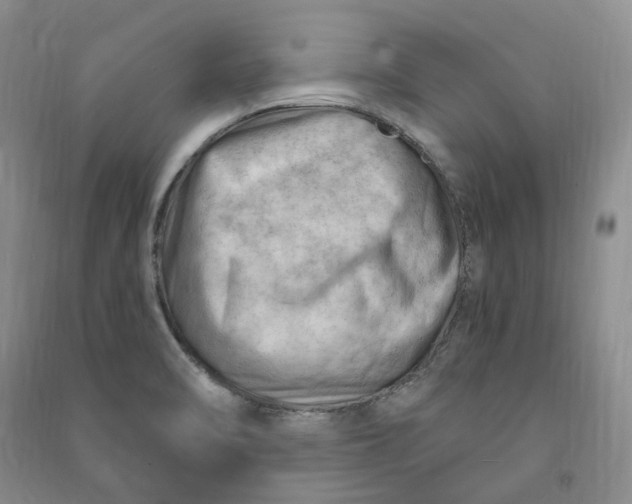 X0000090891470200708171655