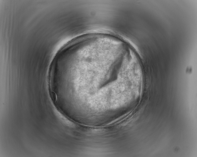 X0000090891471200708171655