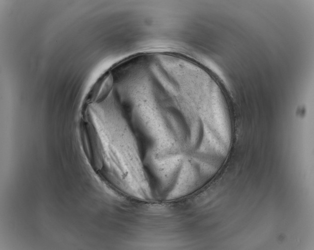 X0000090891472200708171655