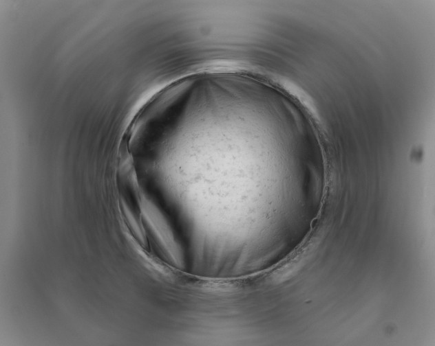 X0000090891473200708171655