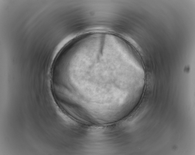 X0000090891474200708171655