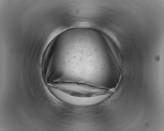 X0000090891475200708171655