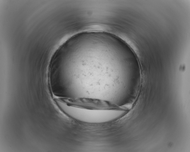 X0000090891477200708171655