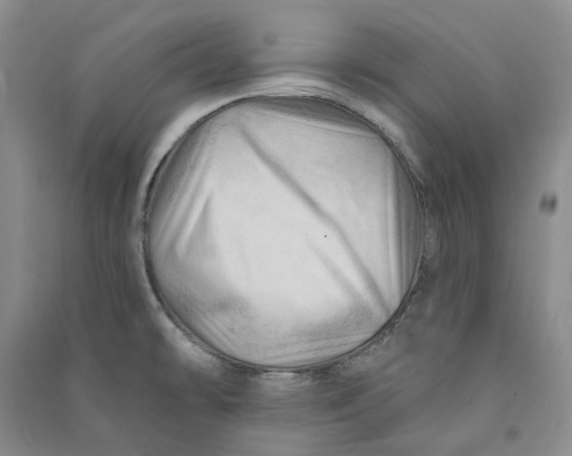 X0000090891478200708171655