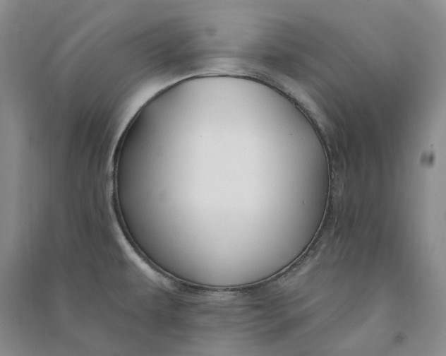 X0000090891479200708171655